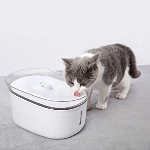 gato bebiendo de honeyguardian w18